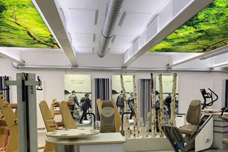 RehaBox Training