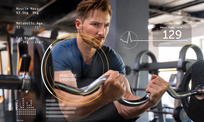 Muskelaufbau-Training bei Actiwita Fitness