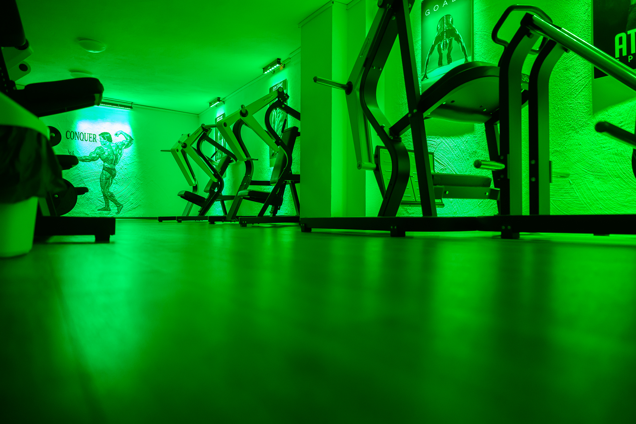 Krafttraining und Muskelaufbau bei ATLAS SPORT Bild 7