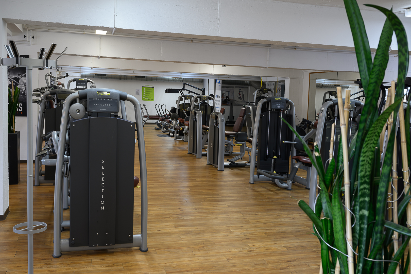 Atlas Sport Bild 1